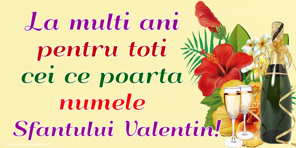 Felicitari de Sfantul Valentin - La multi ani pentru toti cei ce poarta numele Sfantului Valentin! - mesajeurarifelicitari.com