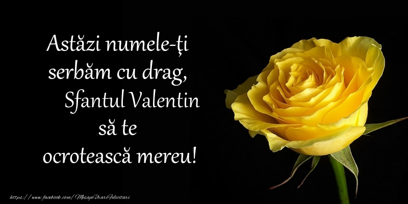 Felicitari de Sfantul Valentin - Astazi numele-ti serbam cu drag, Sfantul Valentin sa te  ocroteasca mereu! - mesajeurarifelicitari.com