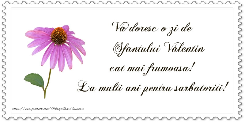 Va doresc o zi de Sfantului Valentin cat mai frumoasa! La multi ani pentru sarbatoriti!