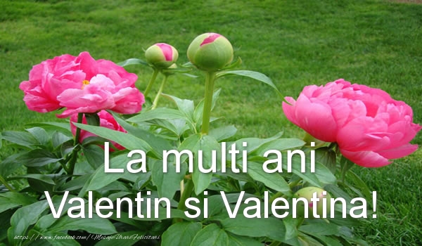 Felicitari de Sfantul Valentin - La multi ani Valentin si Valentina! - mesajeurarifelicitari.com