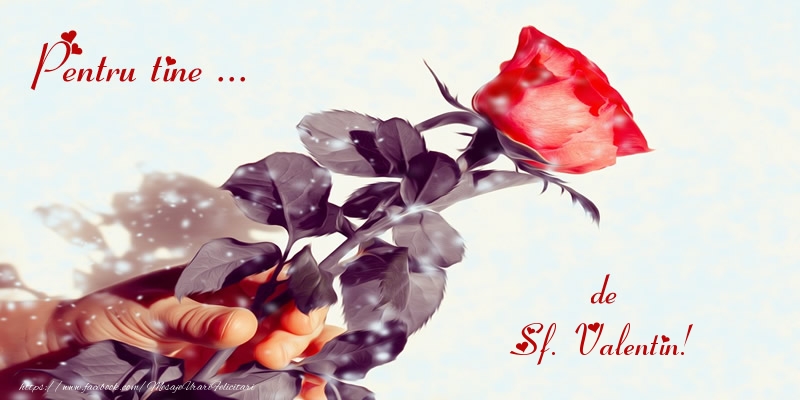 Felicitari de Sfantul Valentin - Pentru tine ... de Sf. Valentin! - mesajeurarifelicitari.com