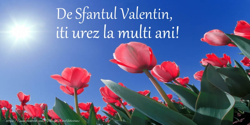 Felicitari de Sfantul Valentin - De Sfantul Valentin, iti urez La multi ani! - mesajeurarifelicitari.com