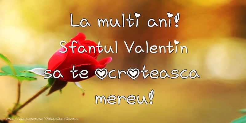 La multi ani! Sfantul Valentin sa te ocroteasca mereu!