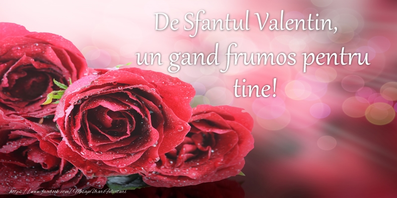 Felicitari de Sfantul Valentin - De Sfantul Valentin, un gand frumos pentru tine! - mesajeurarifelicitari.com