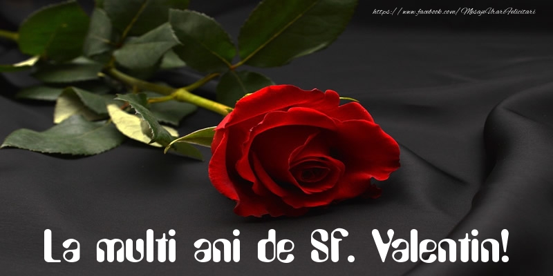 Felicitari de Sfantul Valentin - La multi ani de Sf. Valentin! - mesajeurarifelicitari.com