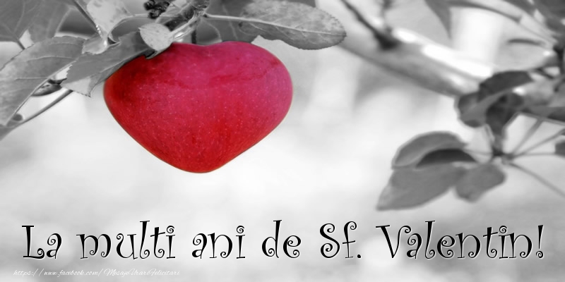 La multi ani de Sf. Valentin!