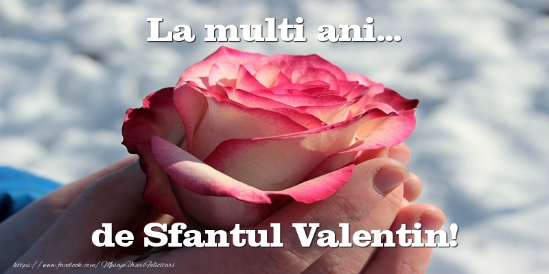 Felicitari de Sfantul Valentin - La multi ani... de Sfantul Valentin! - mesajeurarifelicitari.com