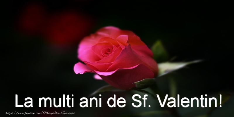La multi ani de Sf. Valentin!