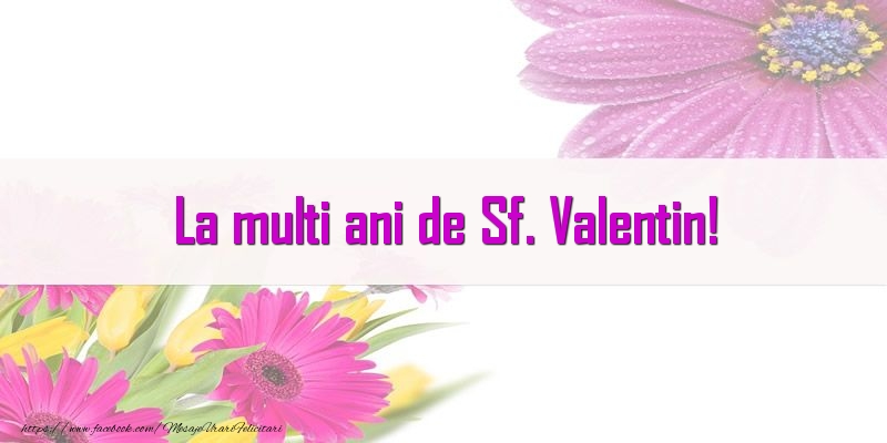 La multi ani de Sf. Valentin!