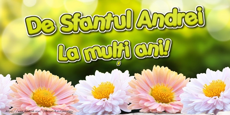 La multi ani de Sfantul Andrei!