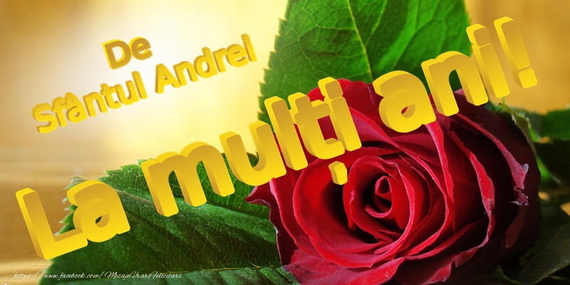 La multi ani de Sfantul Andrei!
