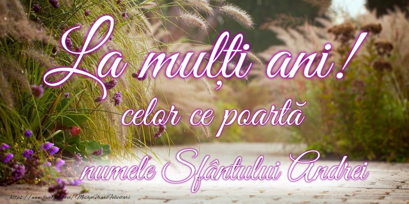La multi ani de Sfantul Andrei!