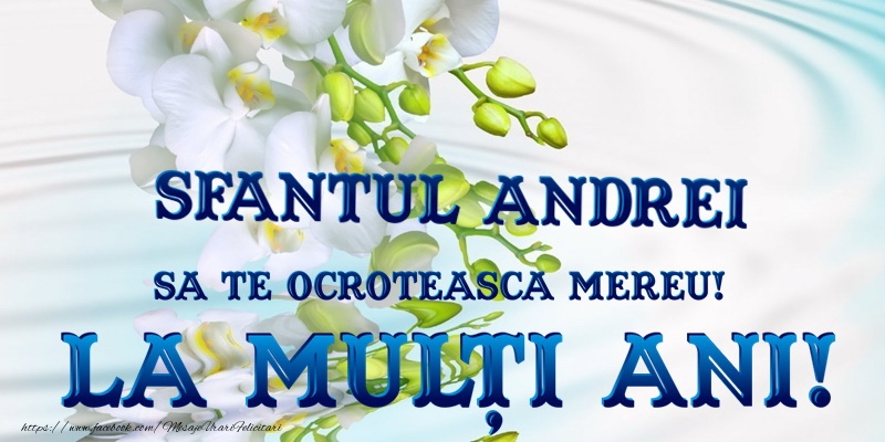 La multi ani de Sfantul Andrei!