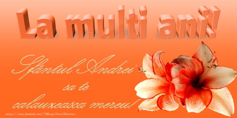 La multi ani de Sfantul Andrei!