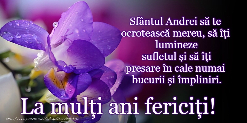 La multi ani de Sfantul Andrei!