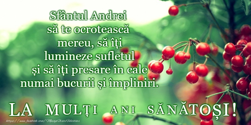 La multi ani de Sfantul Andrei!