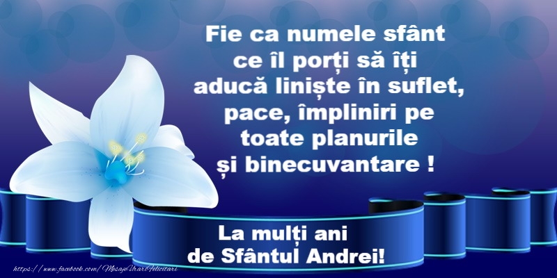 La multi ani de sfantul Andrei!