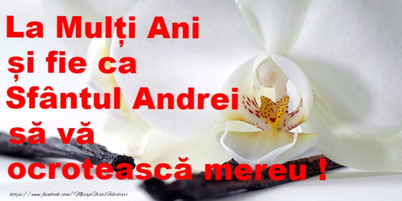 La multi ani de sfantul Andrei!