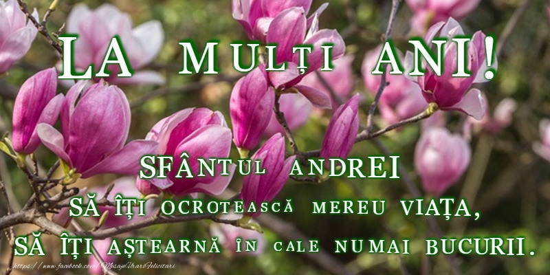 La multi ani de sfantul Andrei!