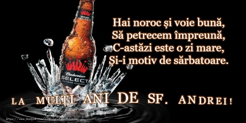 La multi ani de sfantul Andrei!