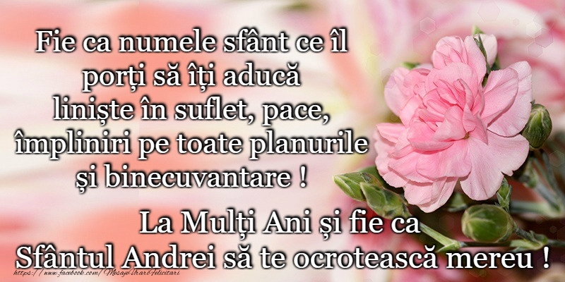 La multi ani de sfantul Andrei!