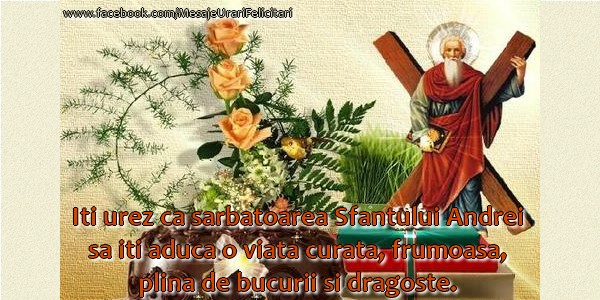 Iti urez ca sarbatoarea Sfantului Andrei sa iti aduca o viata curata, frumoasa plina de bucurii si dragoste!