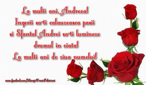 La multi ani Andreea! Ingerii sa-ti calauzeasca pasii si Sfantul Andrei sa-ti lumineze drumul in viata! La multi de ziua numelui!