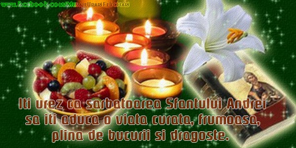 Iti urez ca sabatoarea Sfantului Andrei sa iti aduca o viata curata, frumoasa, plina de bucurii si dragoste!