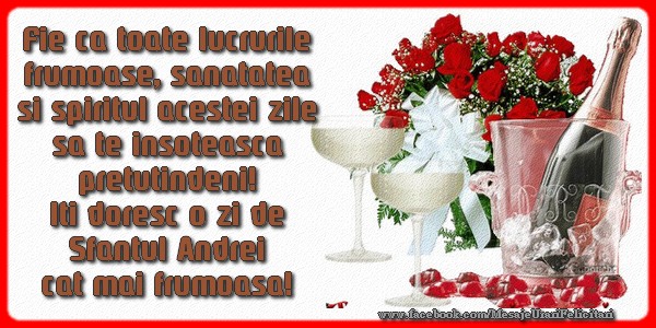 Fie ca toate lucrurile frumoase, sanatatea si spiritul acestei zile sa te insoteasca! Iti doresc o zi de Sfantul Andrei cat mai frumoasa!