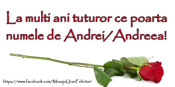 La multi ani tuturor ce poarta numele Andrei/Andreea!