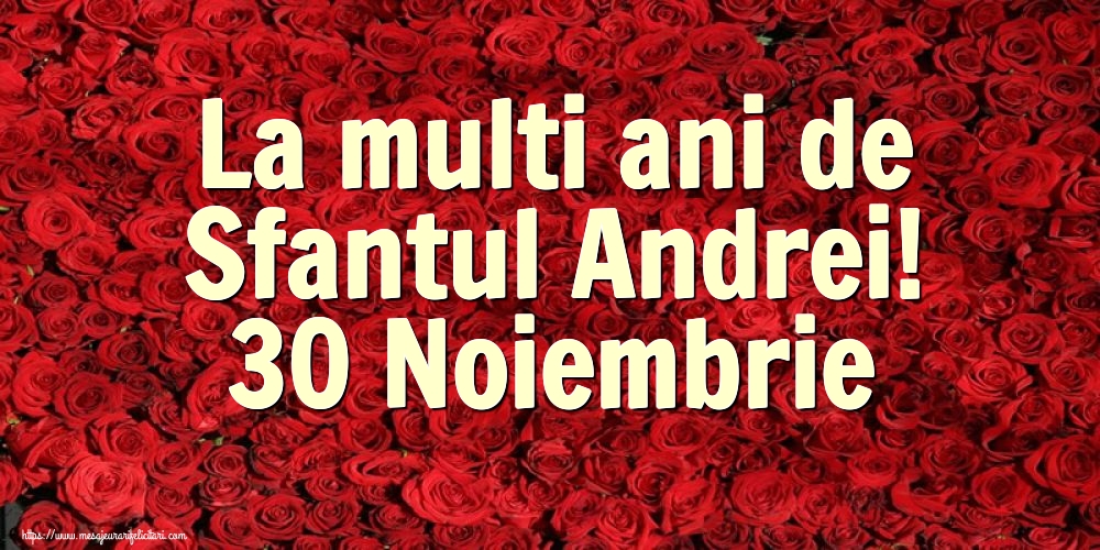 Felicitari de Sfantul Andrei - La multi ani de Sfantul Andrei! 30 Noiembrie - mesajeurarifelicitari.com