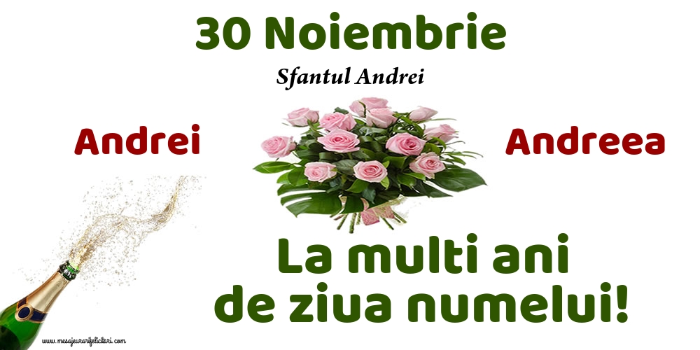 30 Noiembrie - Sfantul Andrei
