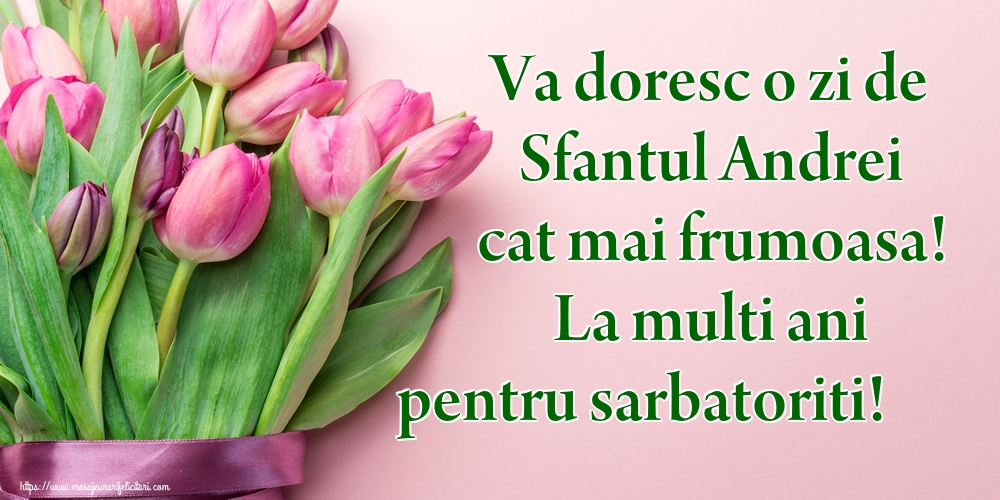 Va doresc o zi de Sfantul Andrei cat mai frumoasa! La multi ani pentru sarbatoriti!