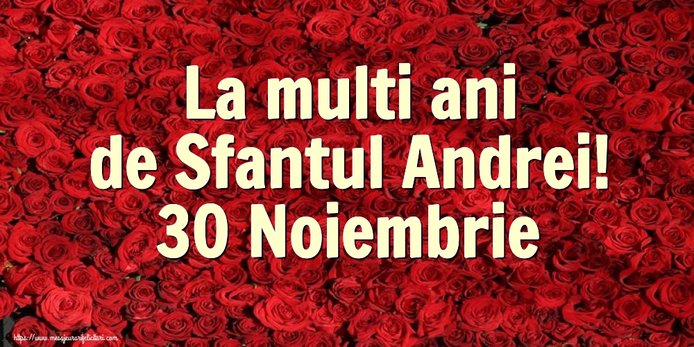 La multi ani de Sfantul Andrei! 30 Noiembrie