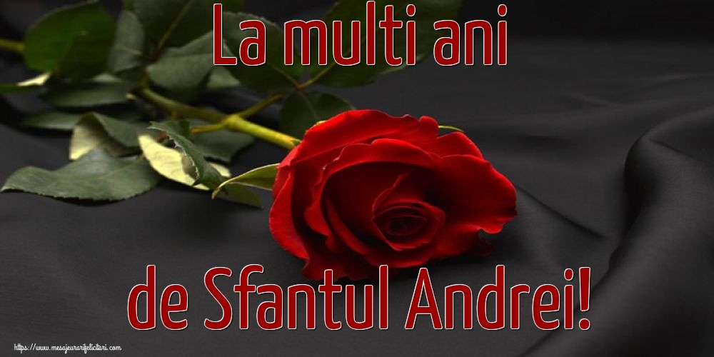 La multi ani de Sfantul Andrei!