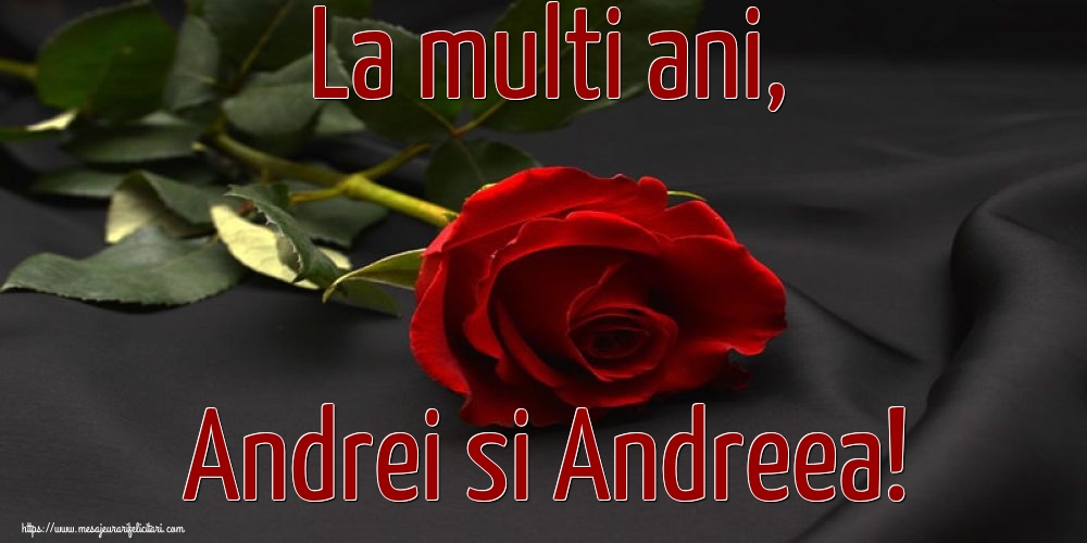 La multi ani, Andrei si Andreea!