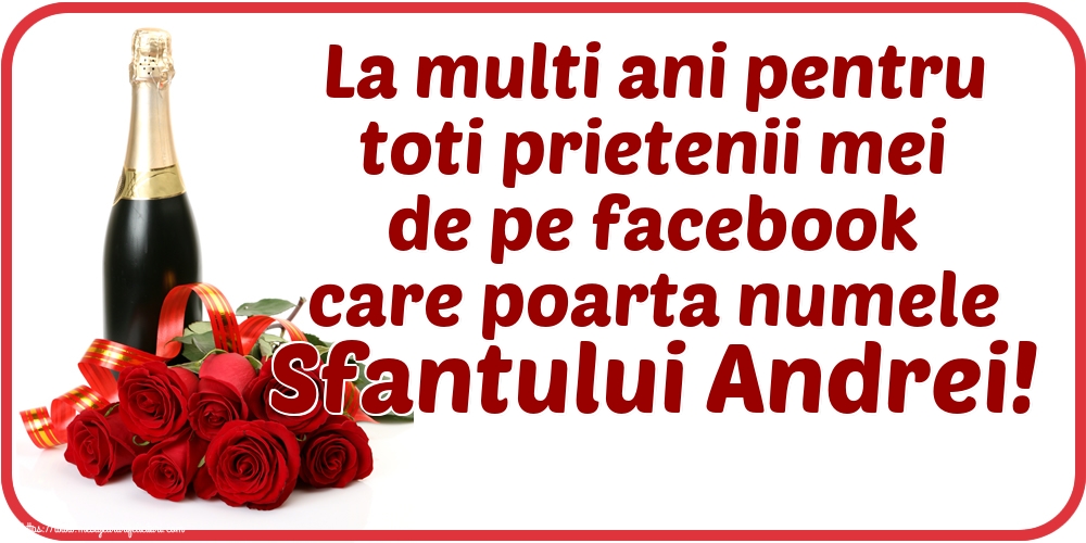 Sfantul Andrei La multi ani pentru toti prietenii mei de pe facebook care poarta numele Sfantului Andrei!