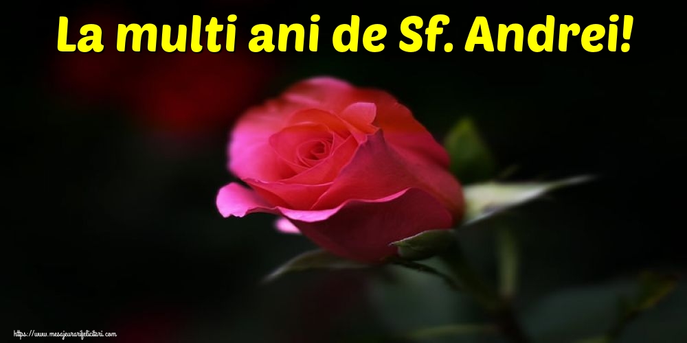 Felicitari de Sfantul Andrei - La multi ani de Sf. Andrei! - mesajeurarifelicitari.com
