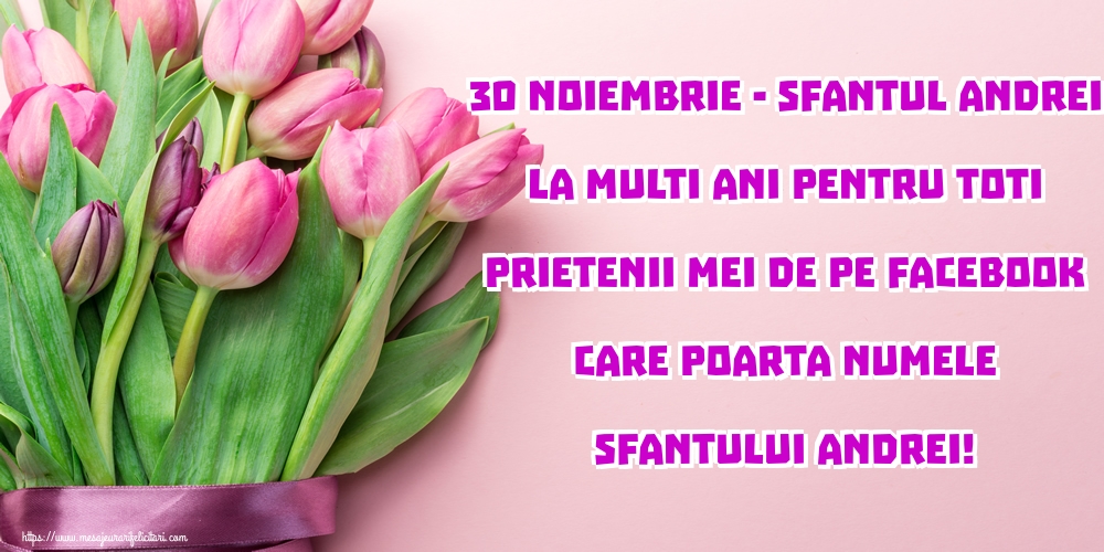 30 Noiembrie - Sfantul Andrei La multi ani pentru toti prietenii mei de pe facebook care poarta numele Sfantului Andrei!