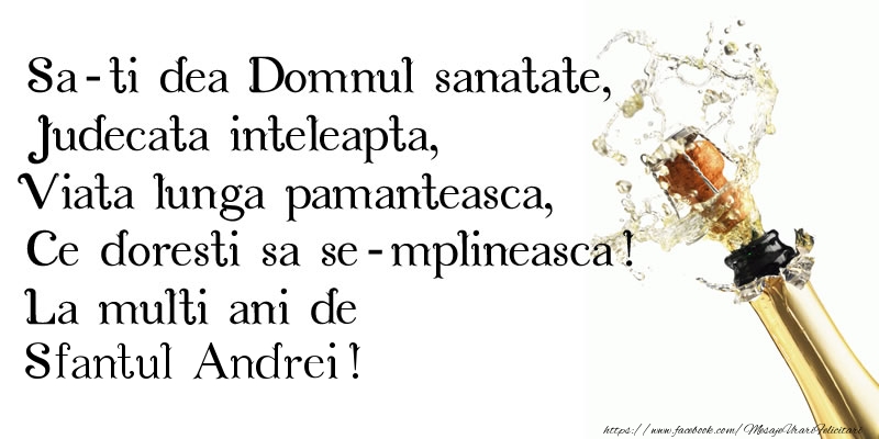 Sa-ti dea Domnul sanatate, Judecata inteleapta, Viata lunga pamanteasca, Ce doresti sa se-mplineasca! La multi ani de Sfantul Andrei!