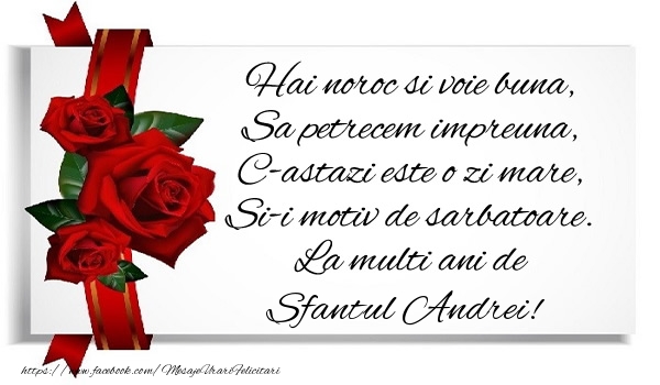 Hai noroc si voie buna, Sa petrecem impreuna, C-astazi este o zi mare, Si-i motiv de sarbatoare. La multi ani de Sfantul Andrei!
