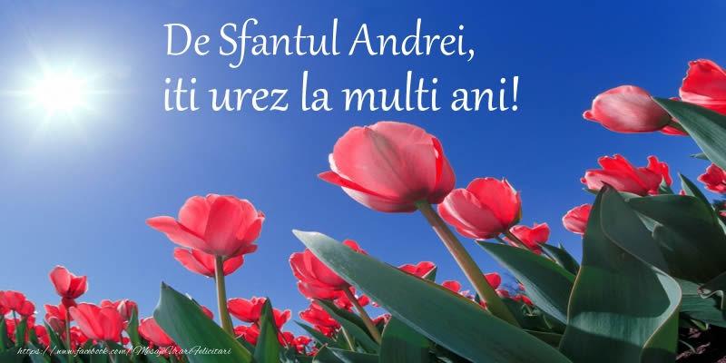 De Sfantul Andrei, iti urez La multi ani!