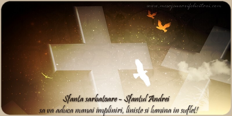 Sfanta sarbatoare Sfantul Andrei sa va aduca numai impliniri, liniste si lumina in suflet!