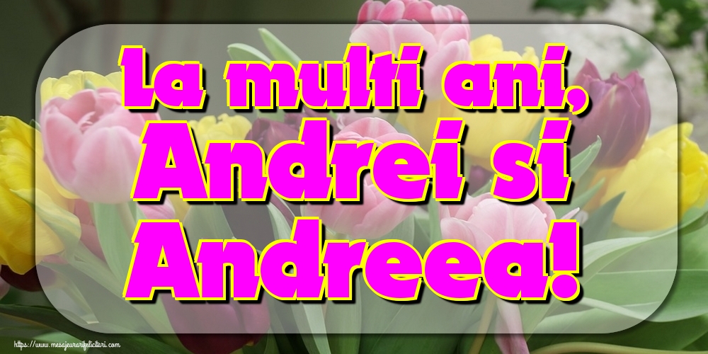 La multi ani, Andrei si Andreea!