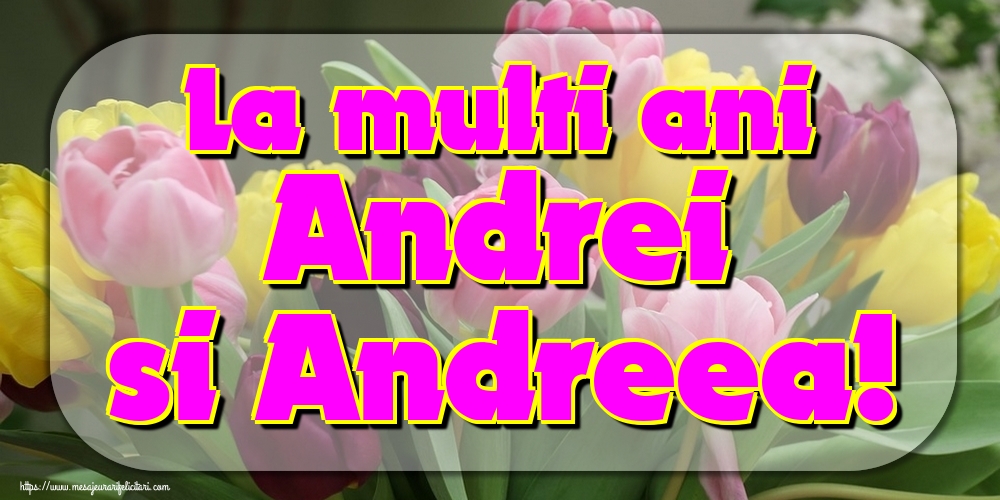 La multi ani Andrei si Andreea!