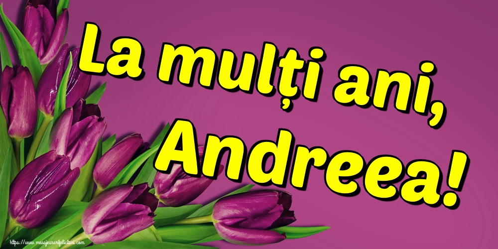 La mulți ani, Andreea!