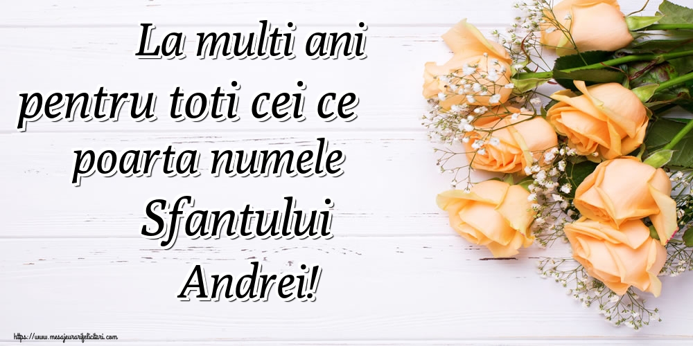 La multi ani pentru toti cei ce poarta numele Sfantului Andrei!
