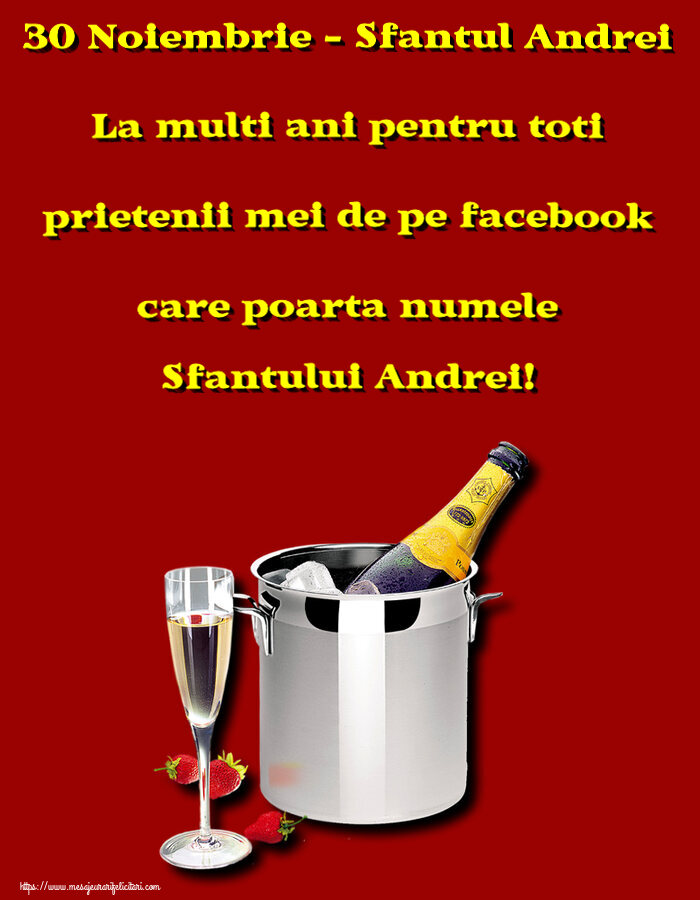 30 Noiembrie - Sfantul Andrei La multi ani pentru toti prietenii mei de pe facebook care poarta numele Sfantului Andrei! ~ șampanie în frapieră și căpșuni