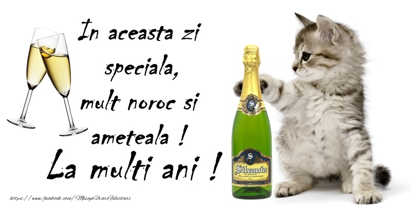 In aceasta zi speciala, mult noroc si ameteala! La multi ani!