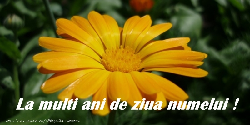 La multi ani de ziua numelui!